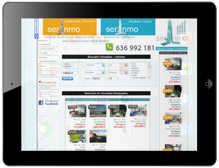 Web Inmobiliaria Profesional.
